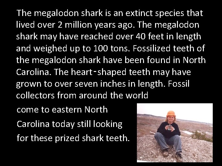 The megalodon shark is an extinct species that lived over 2 million years ago.