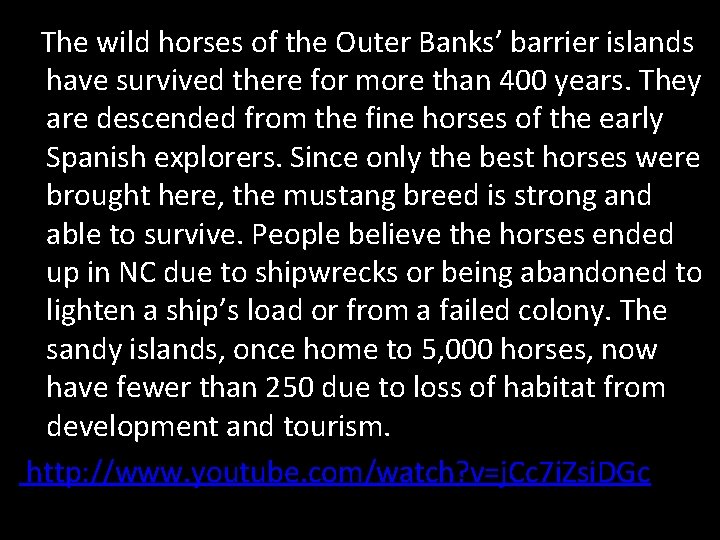 The wild horses of the Outer Banks’ barrier islands have survived there for more