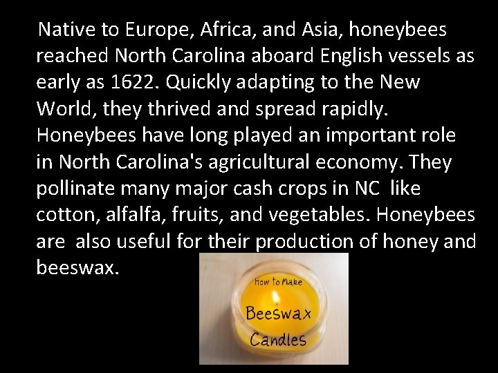 Native to Europe, Africa, and Asia, honeybees reached North Carolina aboard English vessels as