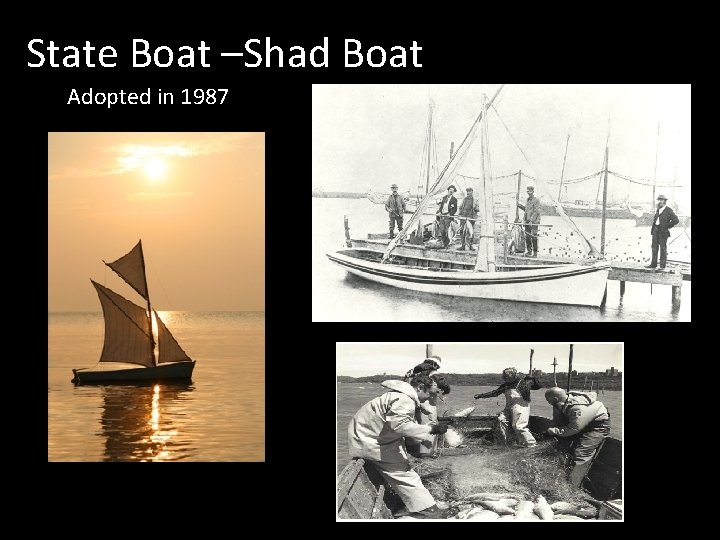 State Boat –Shad Boat Adopted in 1987 