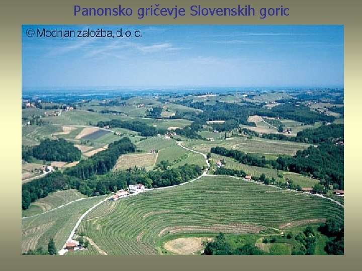 Panonsko gričevje Slovenskih goric 