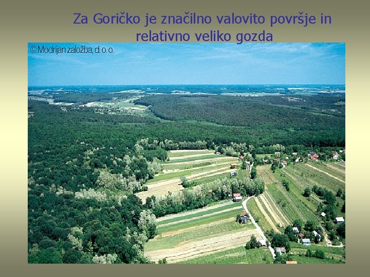 Za Goričko je značilno valovito površje in relativno veliko gozda 