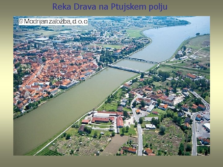 Reka Drava na Ptujskem polju 