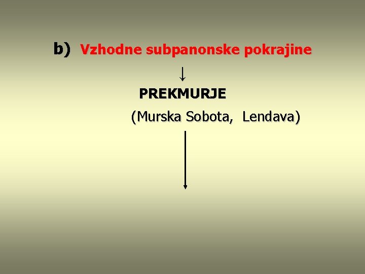 b) Vzhodne subpanonske pokrajine ↓ PREKMURJE (Murska Sobota, Lendava) 