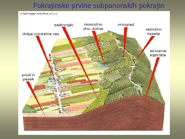 Pokrajinske prvine subpanonskih pokrajin 