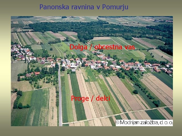 Panonska ravnina v Pomurju Dolga / obcestna vas Proge / delci 