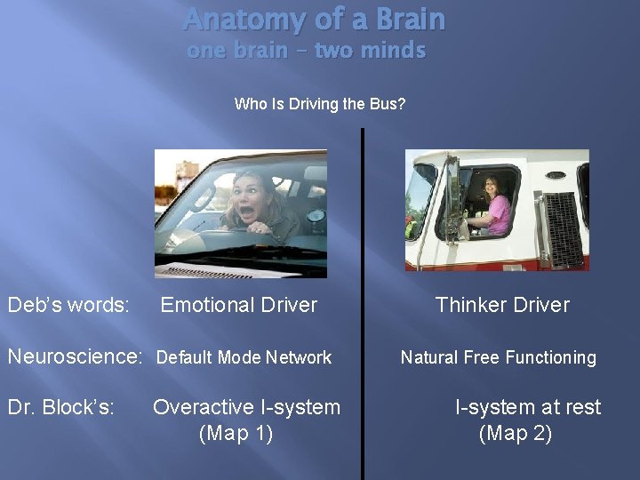 Anatomy of a Brain one brain – two minds Who Is Driving the Bus?