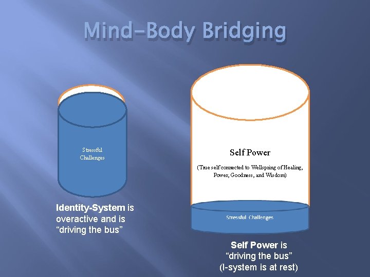 Mind-Body Bridging Stressful Challenges Self Power (True self connected to Wellspring of Healing, Power,