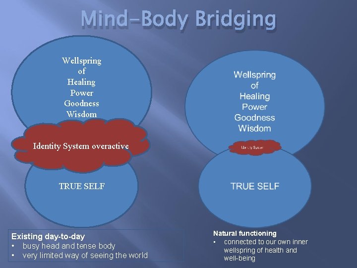 Mind-Body Bridging Wellspring of Healing Power Goodness Wisdom Identity System overactive TRUE SELF Existing