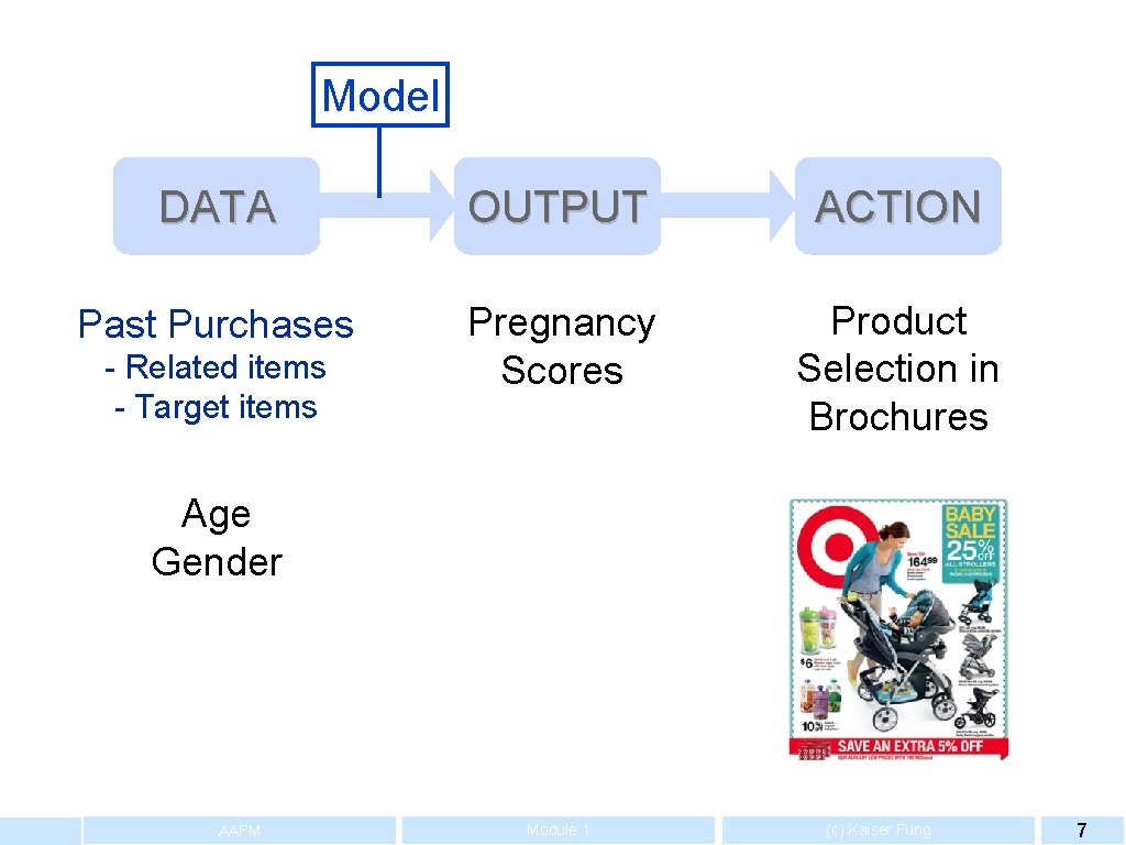Model DATA OUTPUT ACTION Past Purchases Pregnancy Scores Product Selection in Brochures - Related