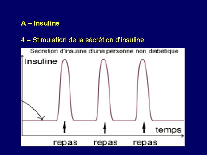 A – Insuline 4 – Stimulation de la sécrétion d’insuline 