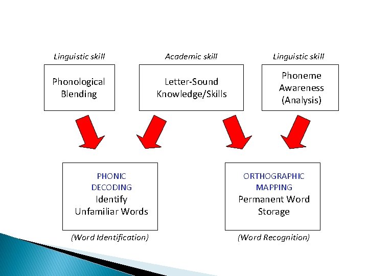 Linguistic skill Academic skill Phonological Blending Letter-Sound Knowledge/Skills PHONIC DECODING Linguistic skill Phoneme Awareness
