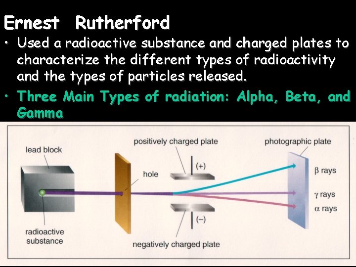 Ernest Rutherford • Used a radioactive substance and charged plates to characterize the different