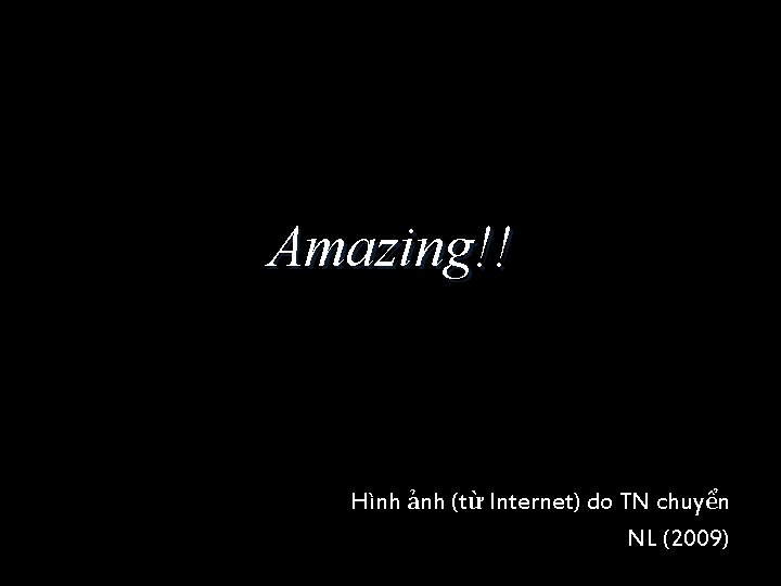 Amazing!! Hình ảnh (từ Internet) do TN chuyển NL (2009) 