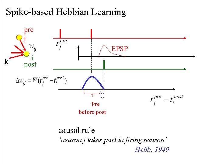 Spike-based Hebbian Learning pre j EPSP k i post 0 Pre before post causal