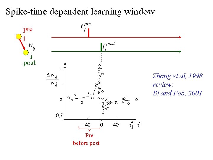 Spike-time dependent learning window pre j i post Zhang et al, 1998 review: Bi
