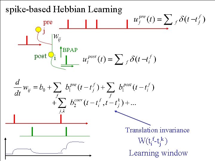spike-based Hebbian Learning pre j post BPAP i Translation invariance W(tif-tjk ) Learning window