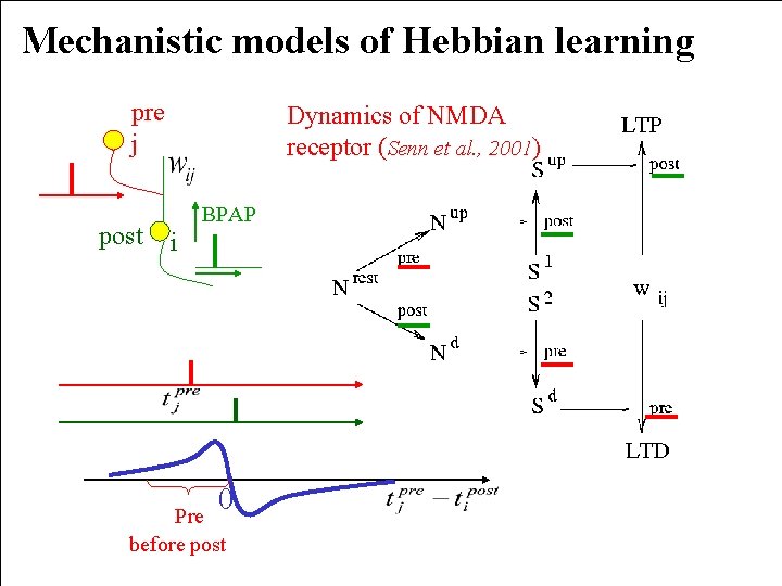 Mechanistic models of Hebbian learning pre j post Dynamics of NMDA receptor (Senn et