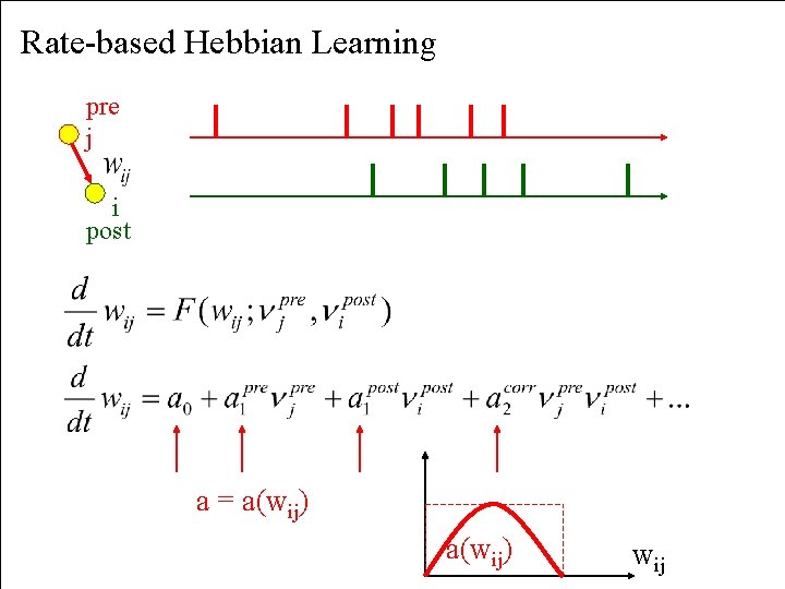 Rate-based Hebbian Learning pre j i post a = a(wij) wij 