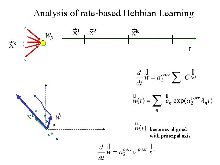 Analysis of rate-based Hebbian Learning x 1 xk x 2 xk t x 1
