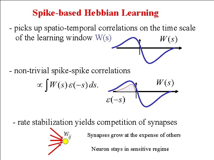 Spike-based Hebbian Learning - picks up spatio-temporal correlations on the time scale of the