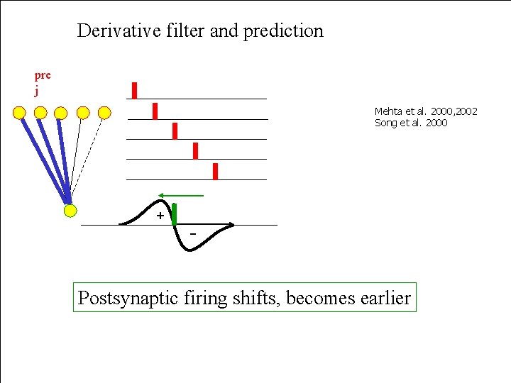 Derivative filter and prediction pre j Mehta et al. 2000, 2002 Song et al.