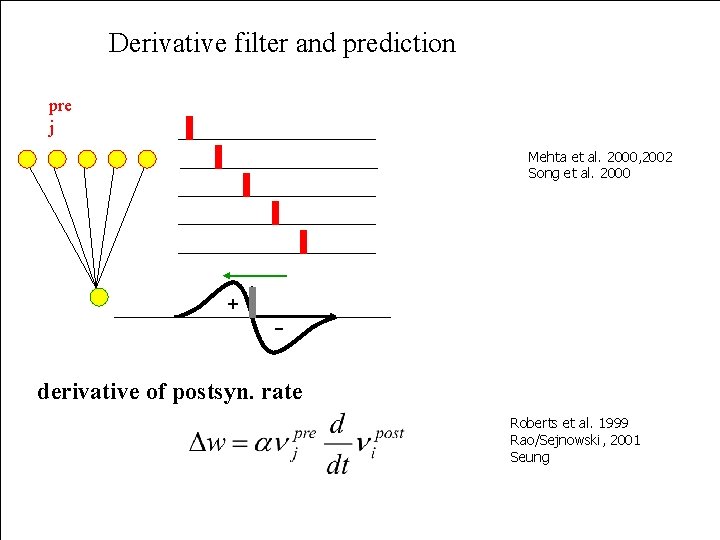 Derivative filter and prediction pre j Mehta et al. 2000, 2002 Song et al.