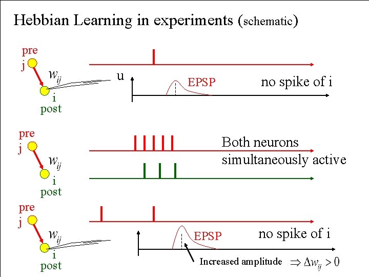 Hebbian Learning in experiments (schematic) pre j u EPSP no spike of i i