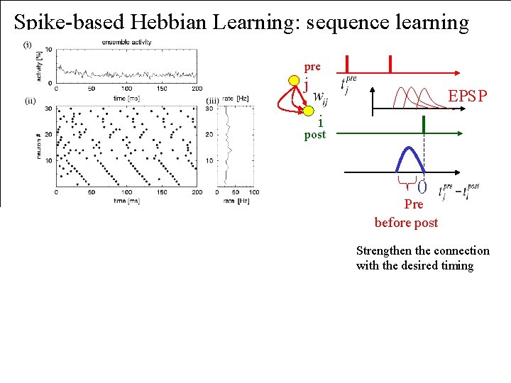 Spike-based Hebbian Learning: sequence learning pre j EPSP i post 0 Pre before post