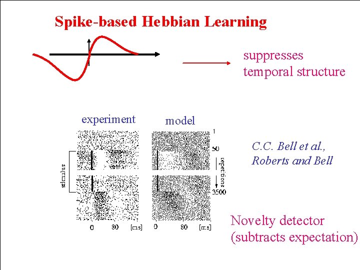 Spike-based Hebbian Learning suppresses temporal structure experiment model C. C. Bell et al. ,