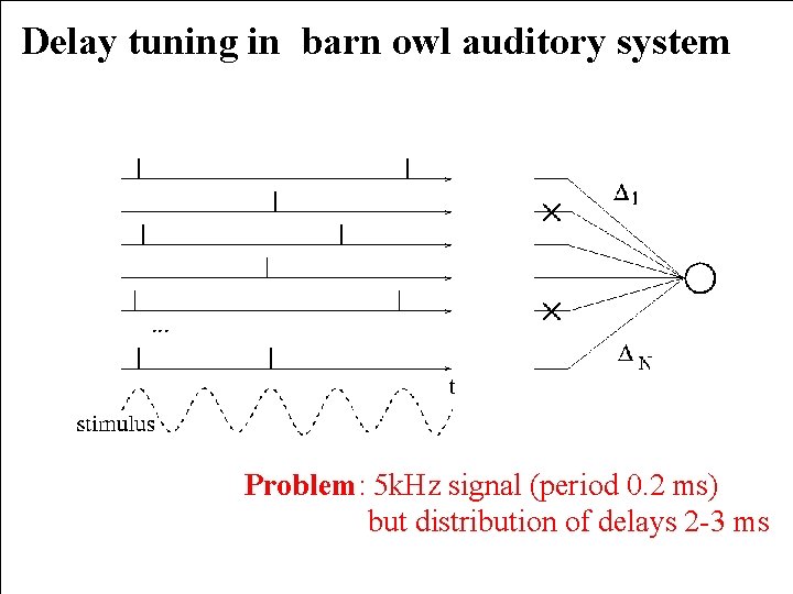 Delay tuning in barn owl auditory system Problem: 5 k. Hz signal (period 0.
