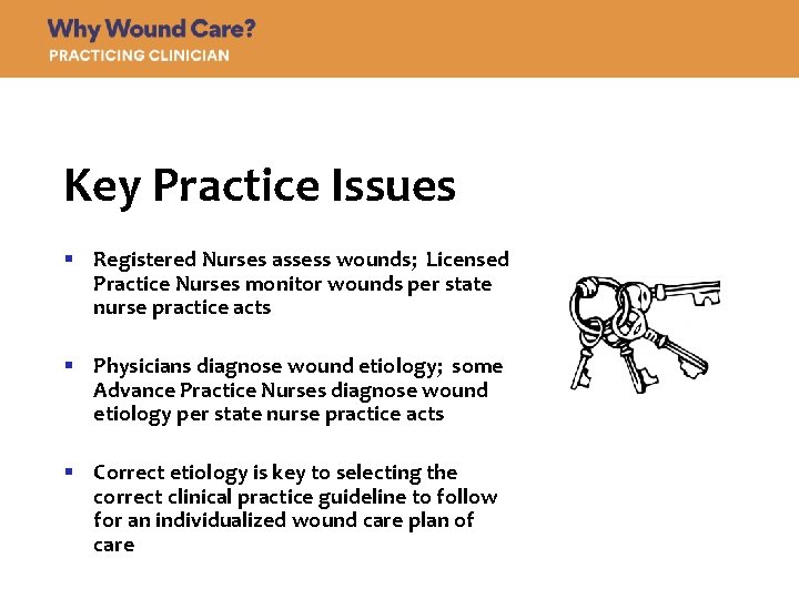 Key Practice Issues § Registered Nurses assess wounds; Licensed Practice Nurses monitor wounds per