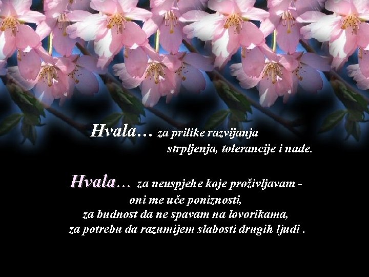 Hvala… Hvala za prilike razvijanja strpljenja, tolerancije i nade. Hvala… Hvala za neuspjehe koje