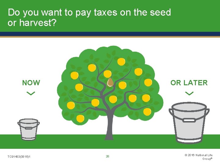 Do you want to pay taxes on the seed or harvest? NOW TC 91483(0816)1