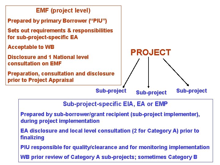 EMF (project level) Prepared by primary Borrower (“PIU”) Sets out requirements & responsibilities for
