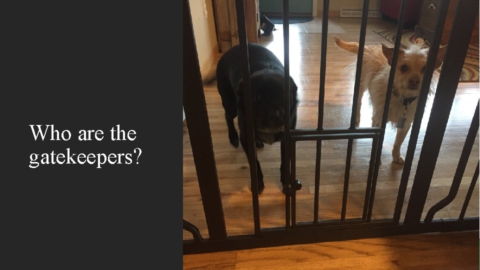 Who are the gatekeepers? 
