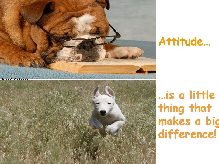 Attitude… Microsoft office imagery …is a little thing that makes a big difference! 