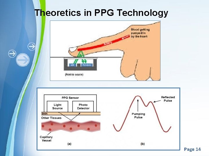 Theoretics in PPG Technology Page 14 Theoretics in PPG Technology Page 14