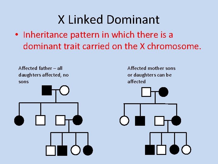 X Linked Dominant • Inheritance pattern in which there is a dominant trait carried