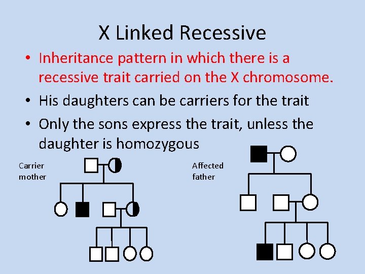 X Linked Recessive • Inheritance pattern in which there is a recessive trait carried