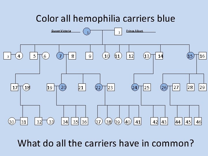 Color all hemophilia carriers blue Queen Victoria______ 4 3 17 30 5 18 31