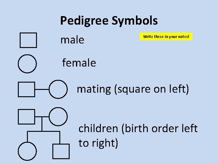 Pedigree Symbols male Write these in your notes! female mating (square on left) children
