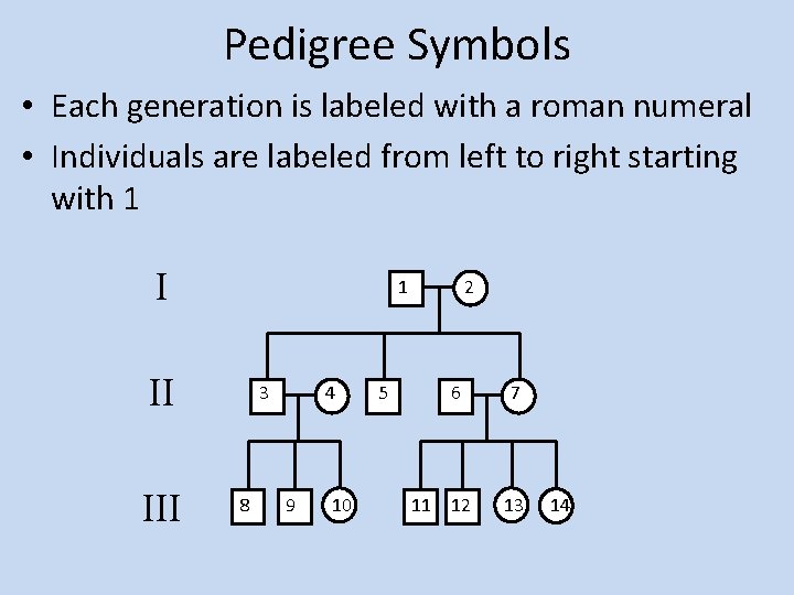 Pedigree Symbols • Each generation is labeled with a roman numeral • Individuals are