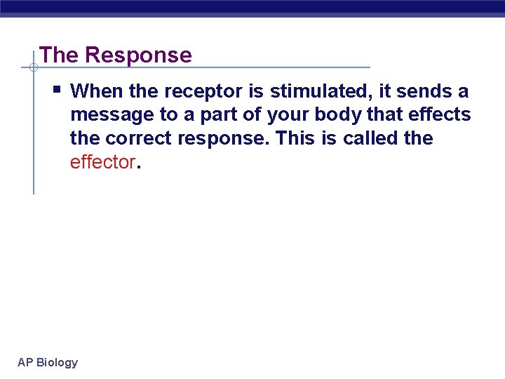 The Response § When the receptor is stimulated, it sends a message to a