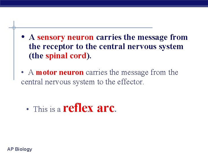  • A sensory neuron carries the message from the receptor to the central