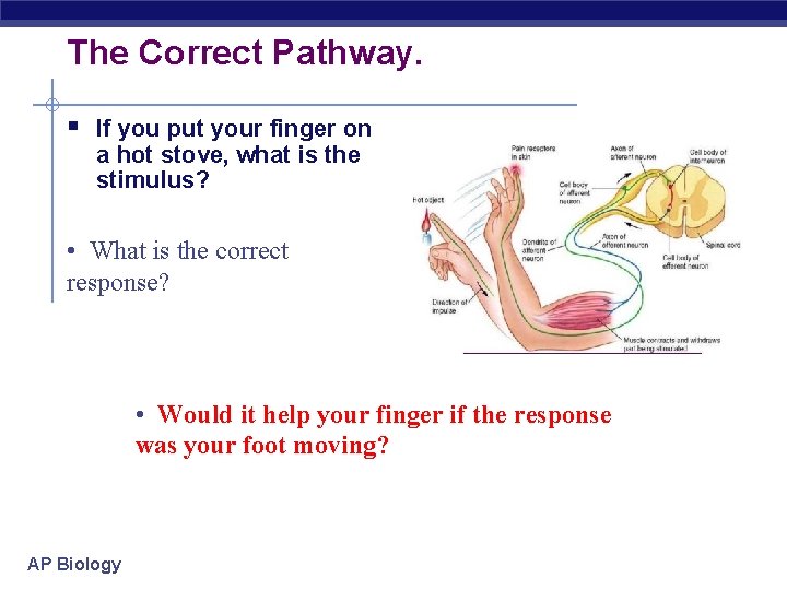 The Correct Pathway. § If you put your finger on a hot stove, what