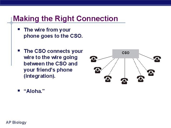 Making the Right Connection § The wire from your phone goes to the CSO.