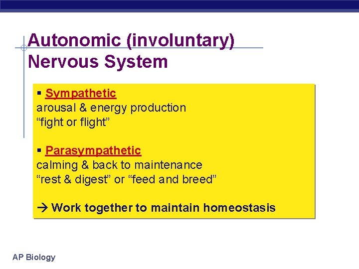Autonomic (involuntary) Nervous System § Sympathetic arousal & energy production “fight or flight” §