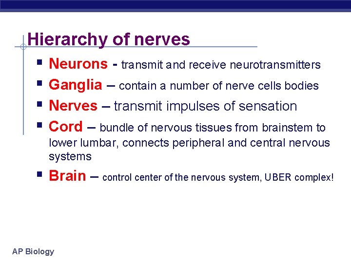 Hierarchy of nerves § Neurons - transmit and receive neurotransmitters § Ganglia – contain