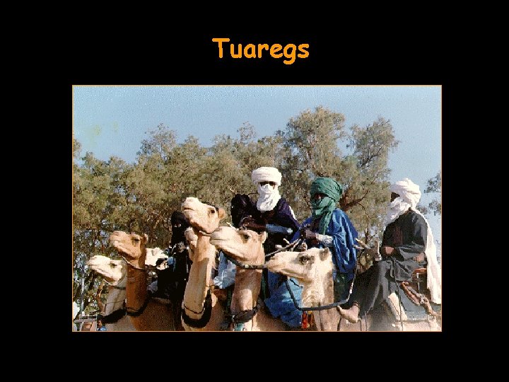 Tuaregs 